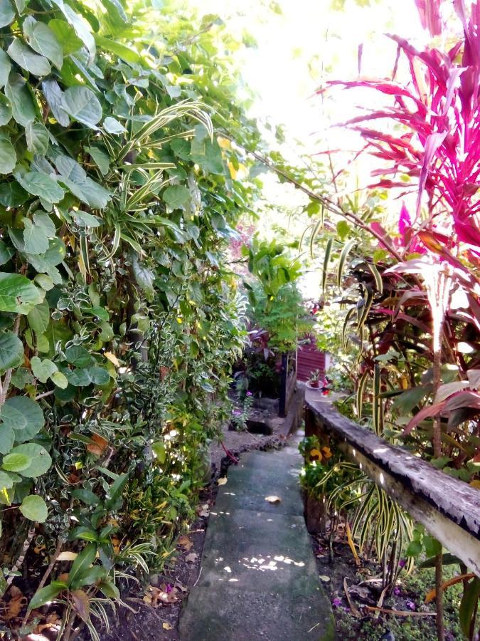 Island Home Honiara Zewnętrze zdjęcie