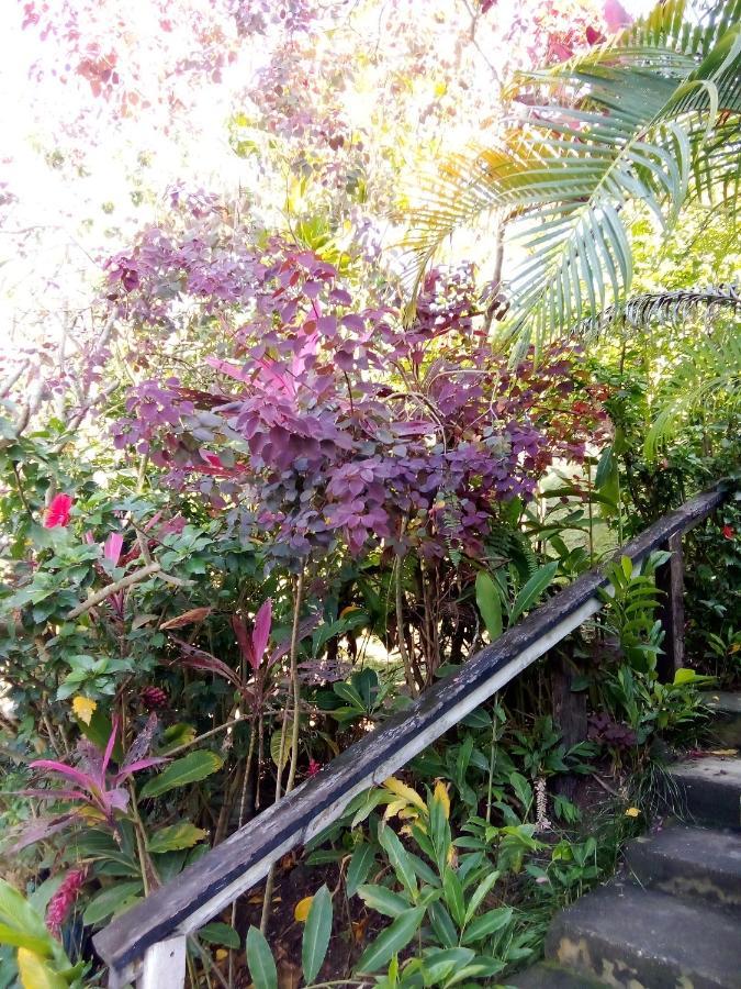 Island Home Honiara Zewnętrze zdjęcie